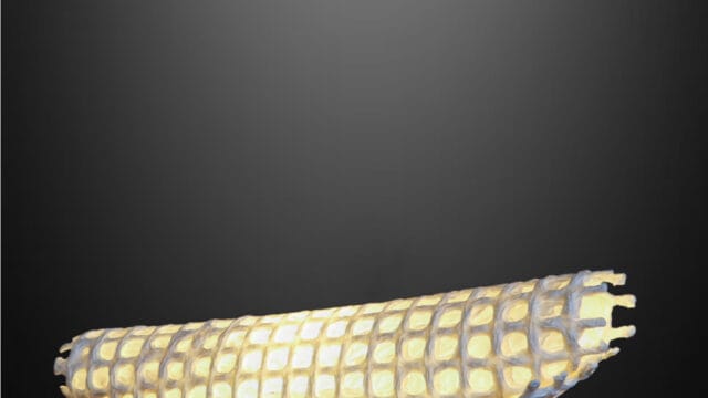 みやびシリーズ　方舟 – HAKOBUNE