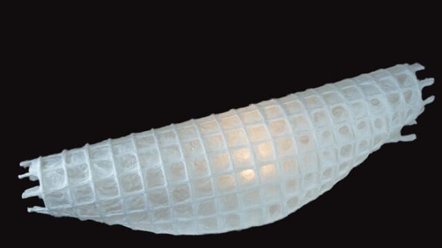 みやびシリーズ　方舟02