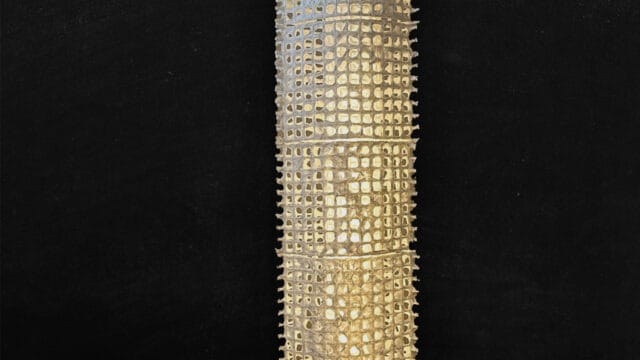 五重塔（Five-storied pagoda）｜　和の呼吸07　