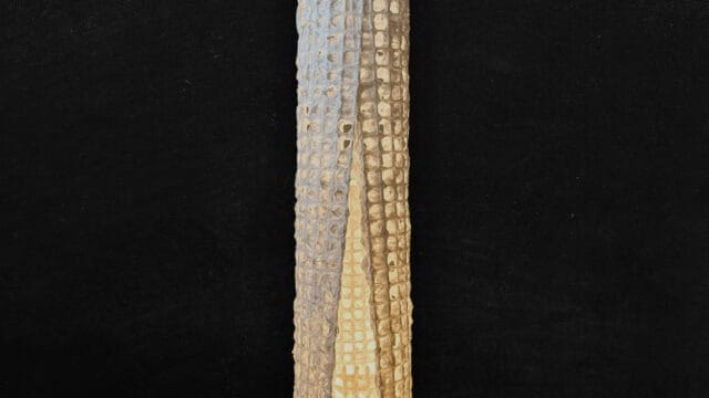 花嫁 （bride）｜　和の呼吸12